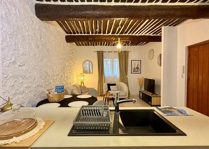 Appartement 2 Pièces Vieil